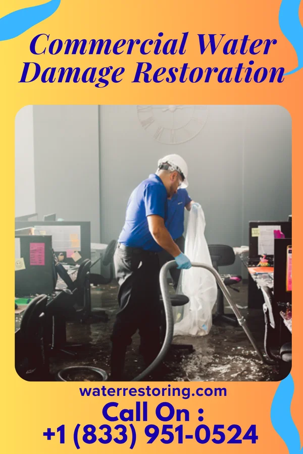 Commercial Water Damage Restoration in Five Corners, WA