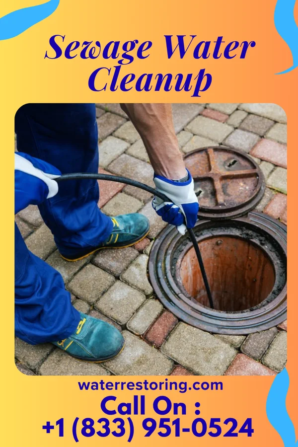 Sewage Water Cleanup in Five Corners, WA