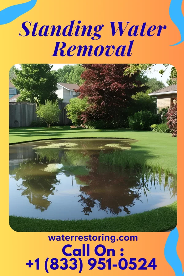 Standing Water Removal in Five Corners, WA